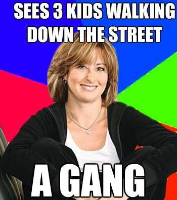 Suburban Mom Meme Sees A Gang