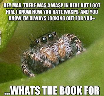 misunderstood-spider-meme-book.jpg