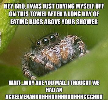 Misunderstood Spider Eats Other Bugs