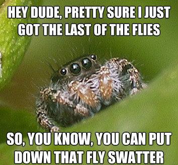 Misunderstood Spider Meme Gets Flies