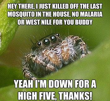 Misunderstood Spider High Five