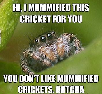 Misunderstood Spider Meme Mummified Crickets