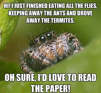 The Misunderstood House Spider Meme