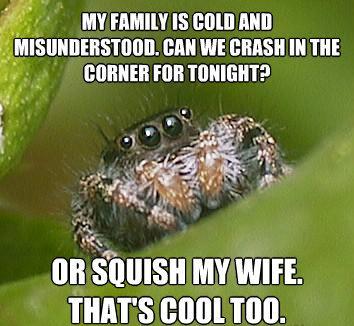 misunderstood-spider-meme-squish-wife.jpg