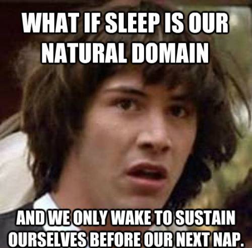 Stoned Keanu Meme On Sleep And Life