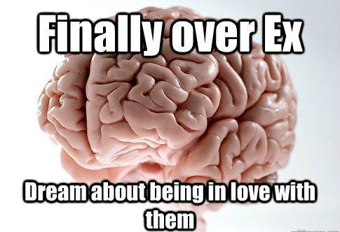 Brain Meme Ex Dream