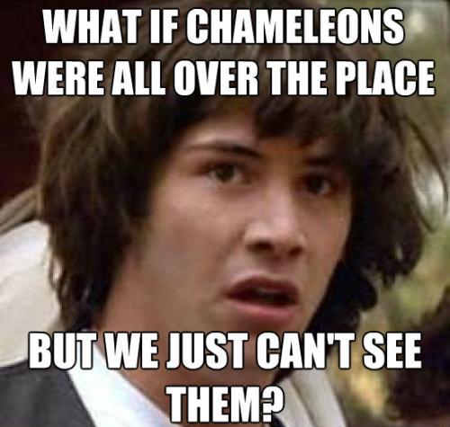 Conspiracy Meme On Chameleons