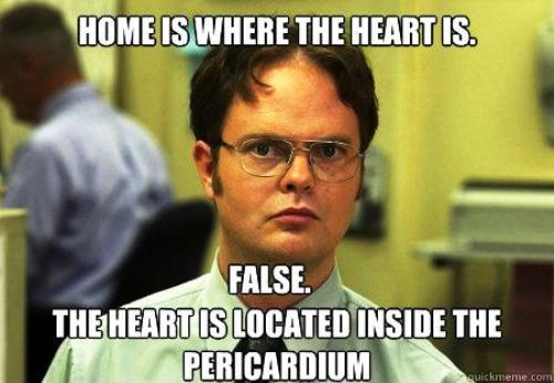 Dwight Schrute Facts Home Is Where The Heart Is