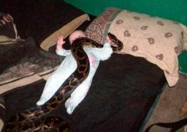 World's Worst Parents Baby & Snake