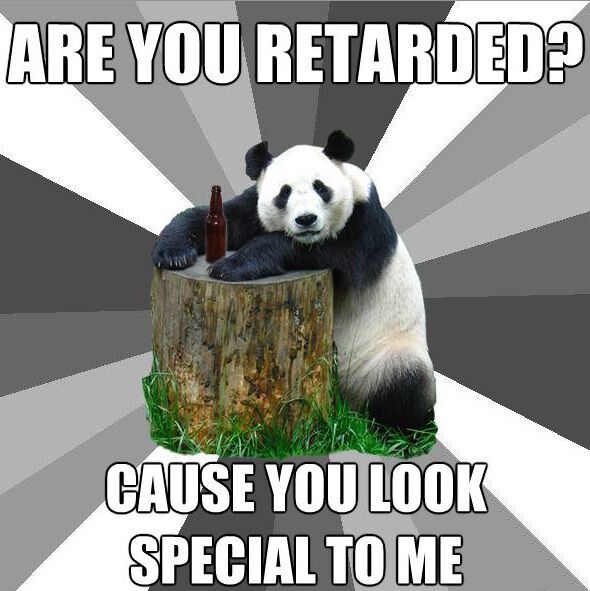 Are You Retarded Pickup Line Panda Memes