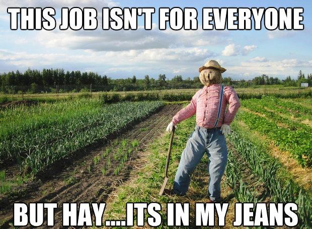 Scarecrow Meme In My Jeans