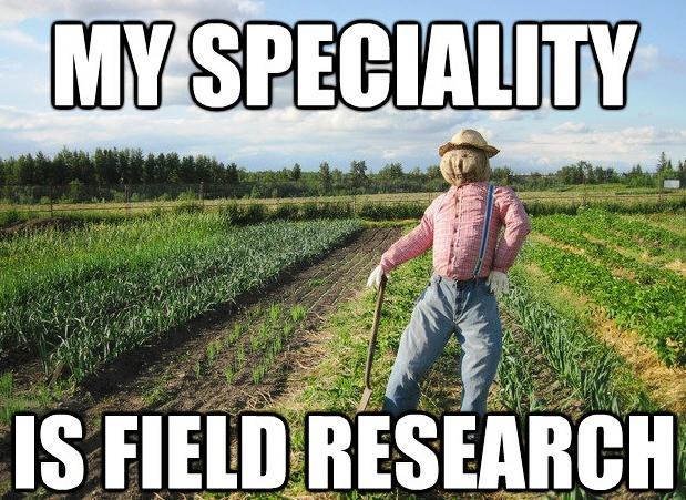 Scarecrow Is Doing Field Research