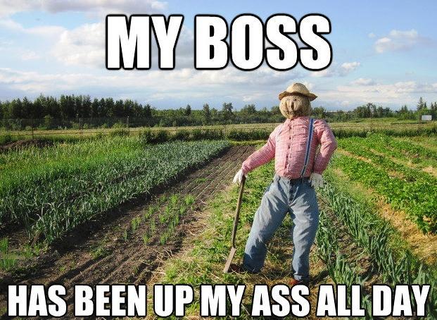 Scarecrow Has A Boss