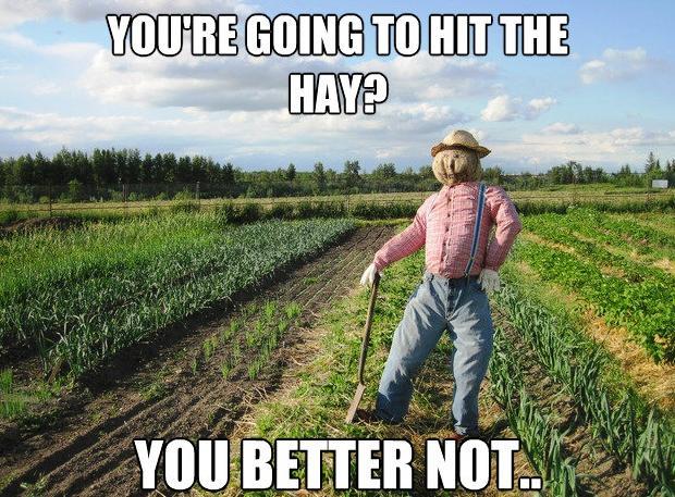 Scarecrow Is Going To Hit The Hay