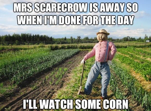Misses Scarecrow