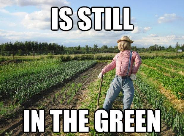 Scarecrow Meme In The Green