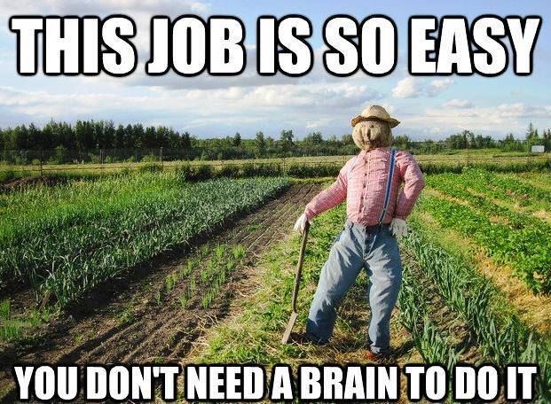 Scarecrow Has An Easy Job