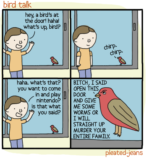 Bird Talk Comic What's Hot On The Web