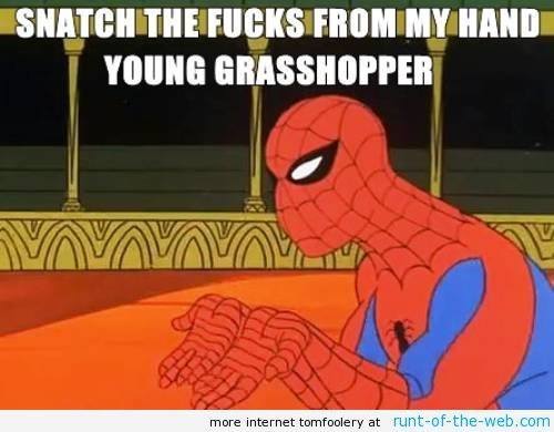 Spider-Man Meme Grasshopper