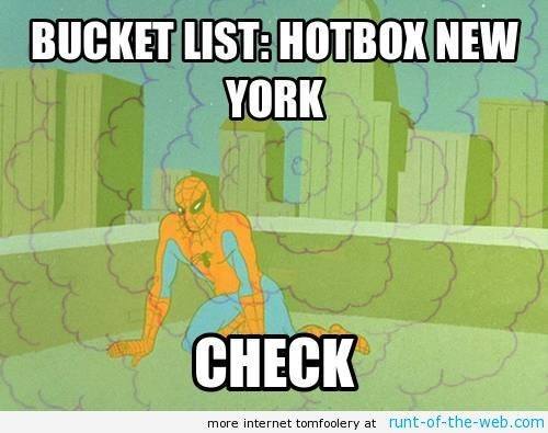 Spider-Man Meme Hotbox New York City