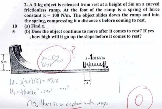 Worst Exam Answers Elephant