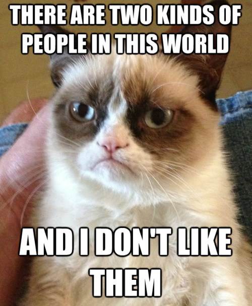 Grumpy Cat Meme Two People In This World