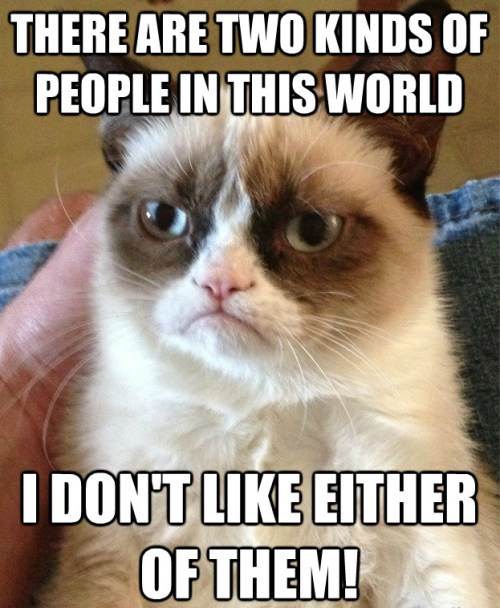 Grumpy Cat Doesn't Like People