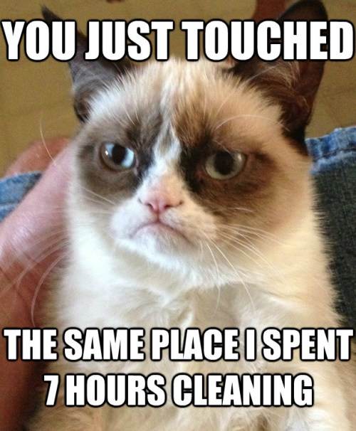 Grumpy Cat Prefers To Be Clean