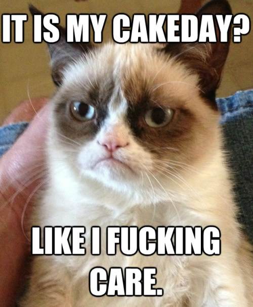 Grumpy Cat Hates Cake Day