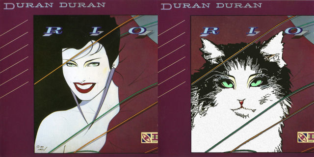 Kitten Covers Duran Duran