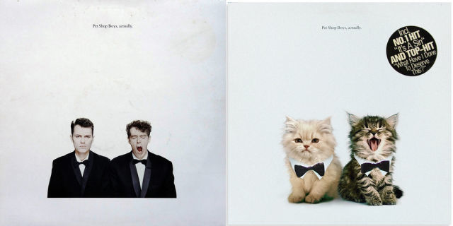 Kitten Inspired Album Art