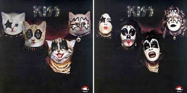 Kitten Inspired Album Art