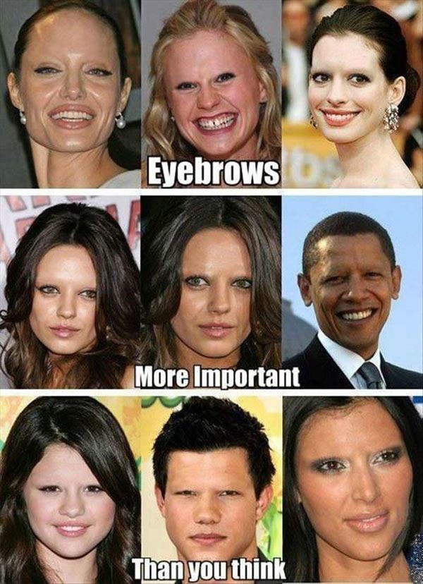 Why Eyebrows Are Important