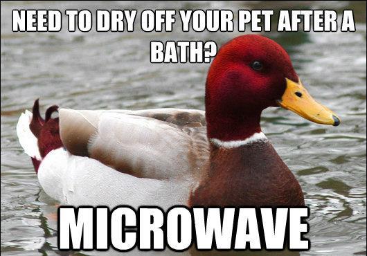 Microwave To Dry Pet Terrible Advice