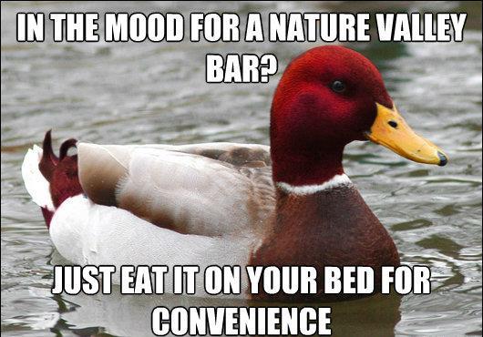 Bad Advice About Nature Valley Bars