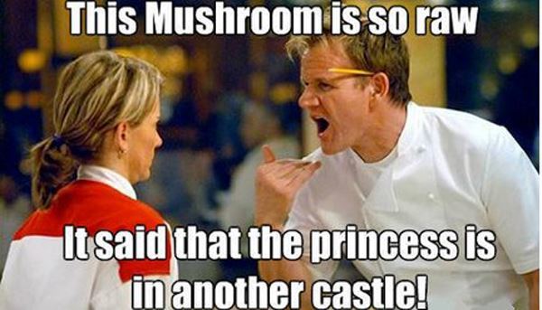 Best Chef Gordon Ramsay Memes