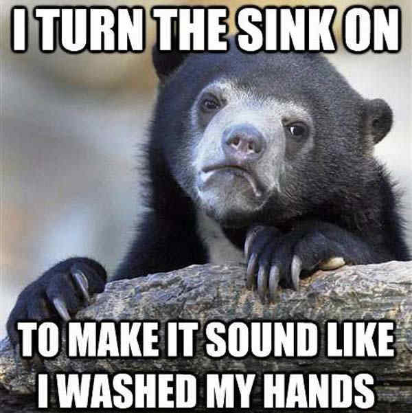 Confession Bear Memes Pretending To Wash Hands