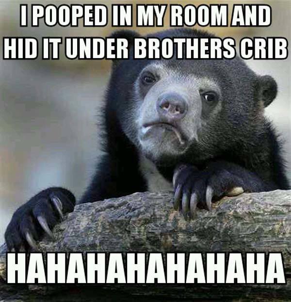 Funniest Confession Bear Memes