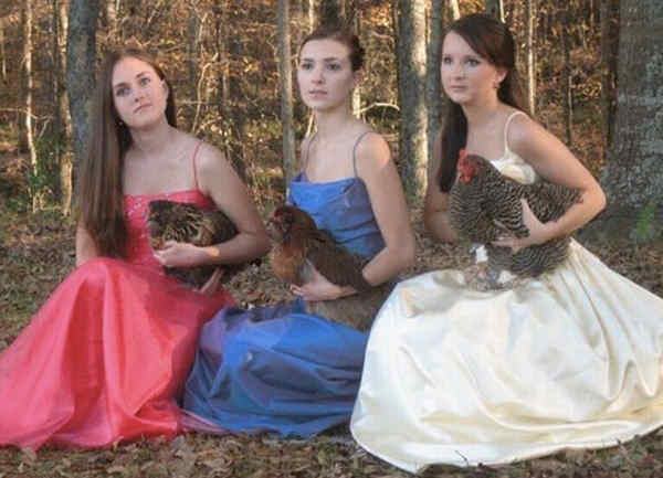 Prom Photo With Chickens