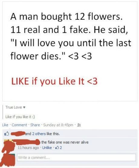 Fake Flowers Facebook Comment
