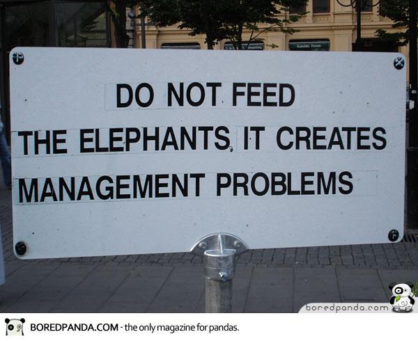 Funny Signs Elephants