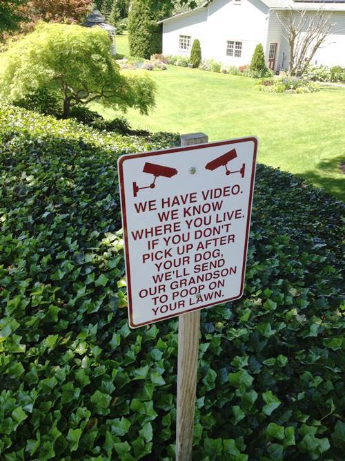 Funniest Sign Dog Poop