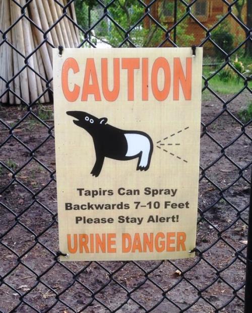 Tapir Zoo Hilarious Sign