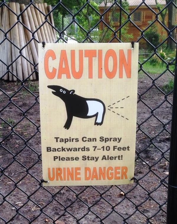 Funny Signs Tapirs