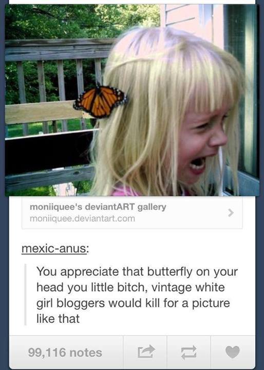 Butterfly Tumblr Post