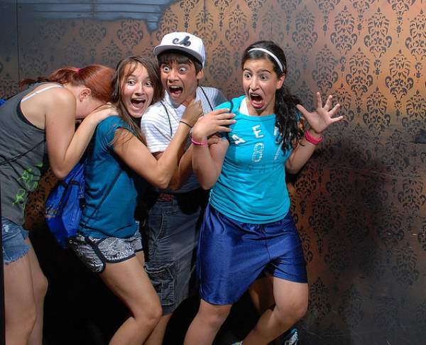Haunted Houses Reactions