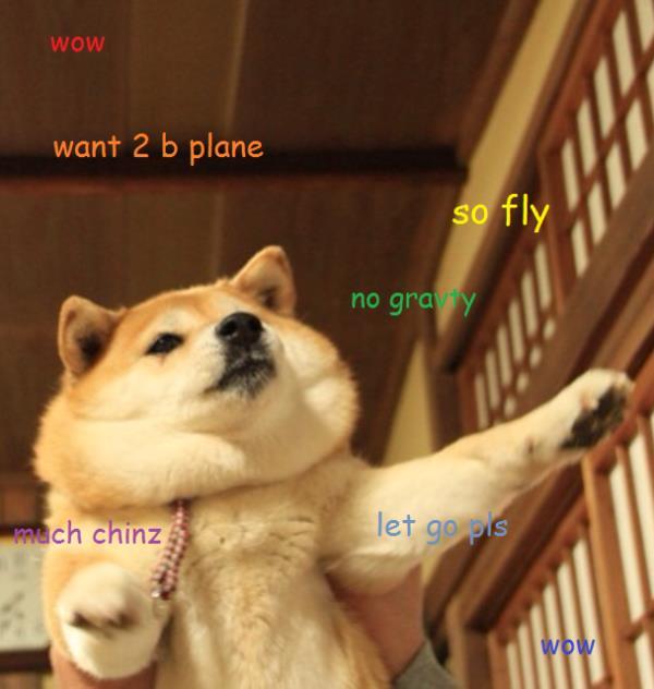 Dog Meme Plane