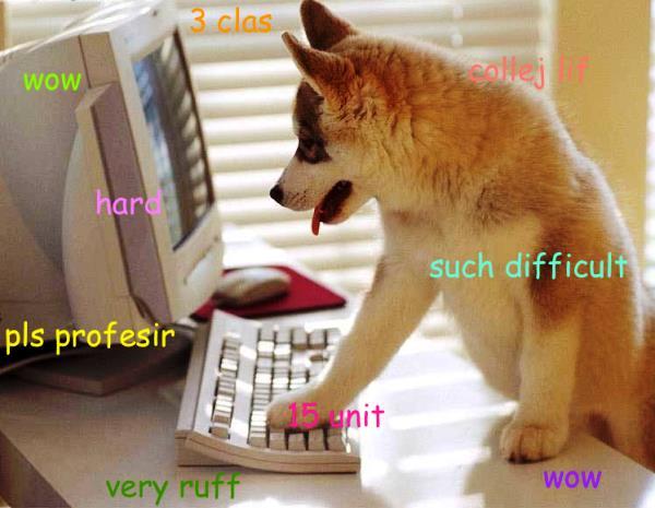 Shibe Browses The Internets