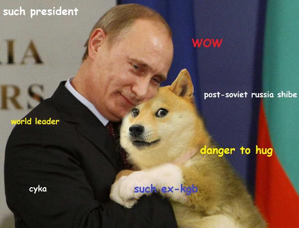 Shibe Putin