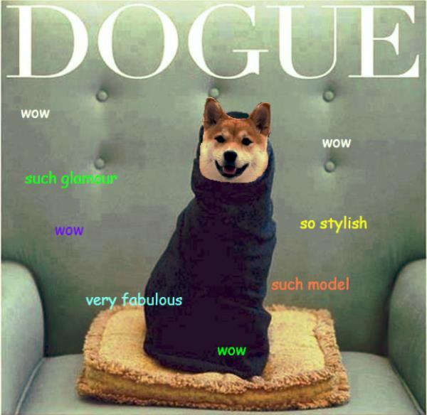 Vogue Doge